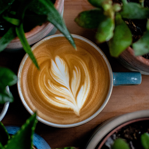 Cappucino
